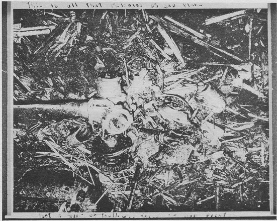 Remains of Jap plane